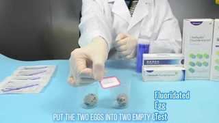 불소화 계란 테스트