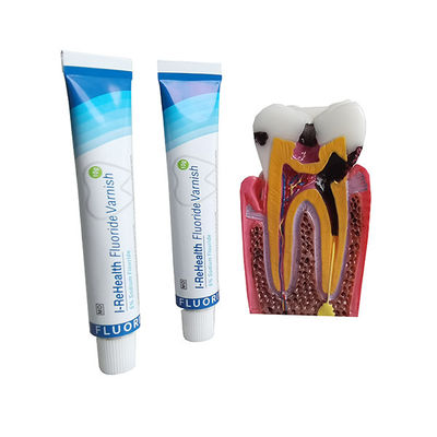 이 니스 보호를 위한 10g /Piece 멜론 맛깔짐 노란 불소 바니쉬